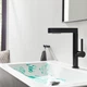 Крючок двойной Hansgrohe Addstoris 41755670 черный матовый - изображение 8