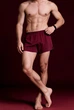 Шелковые трусы боксеры сатиновые Aphrodisiac Bordo Silk (L) – красный - изображение 3