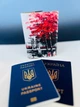 Обкладинка на паспорт- книжку шкіра закордонний паспорт ,біометричний ,військовий квиток париж (арт. 870) - зображення 2