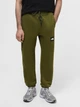 Джоггеры The North Face 8286955 Зелёный L N5608 - изображение 1
