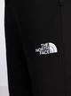 Повседневные штаны The North Face 3713021 Чёрный XL N21446 - изображение 4