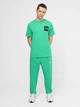 Джоггеры The North Face 8286703 Зелёный L N5598 - изображение 2