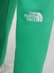 Джоггеры The North Face 8286703 Зелёный L N5598 - изображение 4