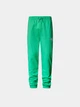 Джоггеры The North Face 8286703 Зелёный L N5598 - изображение 5