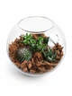 Ексклюзивний авторський флораріум Aqua-Tech Exclusive Florarium, FL002 - зображення 2