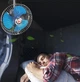 Вентиляторы салона автомобиля No name - изображение 5