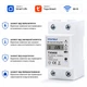 Розумне WiFi реле з повним захистом, лічильниками, таймером 1P+N 60A 230V Smart Life, Tuya [TXM08] Taxnele - зображення 1