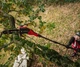 Высоторез цепной аккумуляторный Einhell Professional gp-lc 18/20 Li t BL-Solo 18в шина 20см 7м/с штанга 174-250см 3.73кг без акб и зп 3410971 - изображение 4