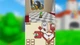 Гра Nintendo DS Super Mario 64 DS Англійська Версія Тільки Картридж Б/У - зображення 4