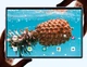 Планшет- ноутбук Adronix LTE Tab332 Green 3/32 Dual SIM 10.1" IPS с Bluetooth клавиатурой - изображение 4