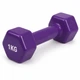Гантель металлическая с виниловым покрытием 1 кг 1 шт Feel Fit фиолетовая - изображение 1