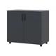 Комод Doros Торн Антрацит 2 ДСП 90х51.6х80 (DRS-012086) - изображение 5