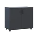 Комод Doros Торн Антрацит 2 ДСП 90х51.6х80 (DRS-012086) - изображение 7