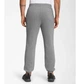 Брюки мужские The North Face Pants Grey L Сірий NF0A7UODGAZ - изображение 3