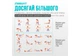 Резинки для фитнеса EasyFit набор 7 шт 2,5-30 кг Mix EF-1814 - изображение 5