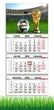 Календарь настенный на 2026 год ,Чемпионат мира по футболу 2026, ЧМ 2026 (World Cup 2026) , Футбольный сувенир ,подарок фанату футбола , 29,7х61см, 17 вид - изображение 1