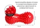 Массажный мяч двойной (арахис) EasyFit Goober EF-1072-R с шипами Красный - изображение 3