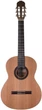 Гітара класична Prodipe Guitars Student 4/4 - зображення 1
