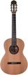 Гітара класична Prodipe Guitars Student LH 4/4 - зображення 1