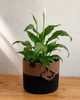 Кашпо зі шнура Giardino Terra, 20×14 см - изображение 2