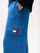 Спортивные штаны на флисе женские Tommy Hilfiger 902749969 S Синие (1159861029) - изображение 5