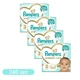 Дитячі підгузки 240 шт Pampers Premium Care розмір 3 (6-10 кг) - зображення 2