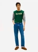Лонгслив мужской Tommy Hilfiger 552953258 M Серый с зеленым (1159862816) - изображение 3