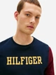 Лонгслив мужской Tommy Hilfiger 221489206 M Синий с бордовым (1159862821) - изображение 4