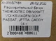 Расширительный бачок THERMOTEC DBW009TT VOLKSWAGEN GOLF, PASSAT, JETTA, CADDY 04-> - зображення 6