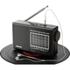 Радио Newmine BT526 для пожилых, мини-динамик, FM, перезаряжаемое - изображение 2
