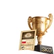 Массажер SKG G5 для талии теплый пояс менструальный тепловая терапия, подарочный - изображение 3