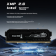 Модуль оперативной памяти Great Wall 8 ГБ DDR4 3200 МГц для настольных компьютеров, с радиатором, разработанным специально для процессоров Intel, серия Dragon Scale Black Gold. - изображение 4