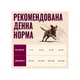 Корм сухой Carnilove Active Venison & Reindeer & Wild Boar Active Adults для активных собак оленина и дикий кабан 12 кг - изображение 5