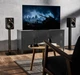 Акустическая система Argon Audio Fenris A5 Black - изображение 4