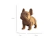 Картонный 3D пазл Bulldog Puppy, Cartonic, 63 эл. - изображение 3