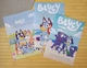 Раскраска Блуи Bluey А5 набор 3 шт (28914) - изображение 1