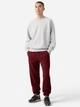 Спортивные штаны на флисе мужские Levi`s 199315923 L Бордовые (1159863445) - изображение 3