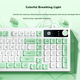 Комплект проводной HP K500F USB Green - изображение 5