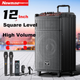 Портативний Newmine N520 Square Dance з потужним басом, відкритий караоке Bluetooth, візок, акустична гітара, народний інструмент, динамік, підсилювач для вуличних торгових точок, подвійний мікрофонний адаптер, 12 дюймів - изображение 4