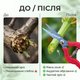 Секатор AgroStar мод.215 для цветов винограда кустов садовый стальное прямое лезвие 6,5см обрезчик пружинный - изображение 4
