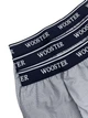 Набор трусов шорты мужской WOOSTER 193145 M 3 шт Серый (2200005112724) - изображение 2