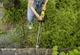 Karcher Кущоріз акумуляторний HGE 3-18 18В лезо 50см крок різу 22мм 2.41кг без АКБ та ЗП - изображение 8