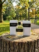 Туалетная вода Givenchy Gentleman EDT 100 мл для мужчин ирис и груша кожа и пачули стойкий шлейф - изображение 3