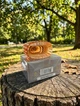Парфуми Valentino Uomo 100 мл чоловічі фужерно-шкіряний аромат лісовий горіх кава шоколад теплий шлейф і висока стійкість - зображення 3