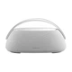 Беспроводная портативная аудиосистема Harman Kardon Go + Play3 Gray - изображение 1