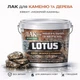 Лак акриловий LOTUS «Мокрий камінь» прозорий для бетону, цегли та каменю 5 л - зображення 1