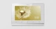 Мультиформатный комплект видеодомофона ARNY AVD-7121 (AVD-710 2Мп TFT + AVP-NG230 1Мп) White + Silver - изображение 3