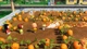 Ключ активации Snoopy & The Great Mystery Club для Xbox Series S/X - изображение 7