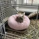 Лежак Lesko N307001 Pink для хомяков спальное место для мелких грызунов - изображение 2