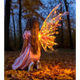 Крылья Феи Butterfly Wings 88052E (DP-1093900230) - изображение 5